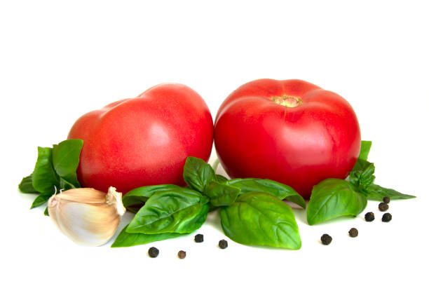 Tomato, basil leaves, garlic cloves isolated on a white background as package design element