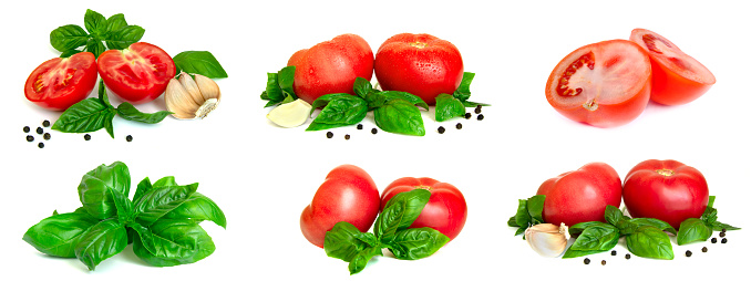 Collection of tomatoes, basil leaves, garlic, black pepper isolated on white background. Set of tomatoes with spices