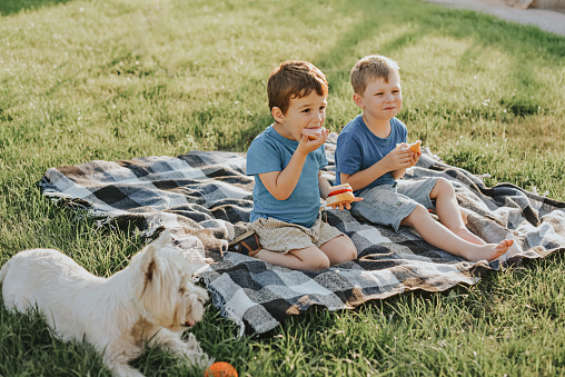 Two boys and a West Highland White Terrier dog sit on a blanket and eat sandwiches in the backyard.
