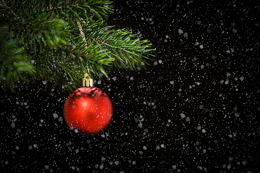 Front view of a red christmas ball hanging on a Christmas tree twig while snowing against a black background with copy space