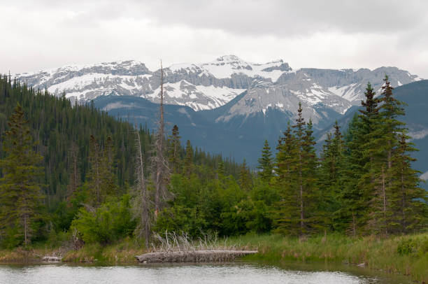istock Canadian Rockies 1425142709