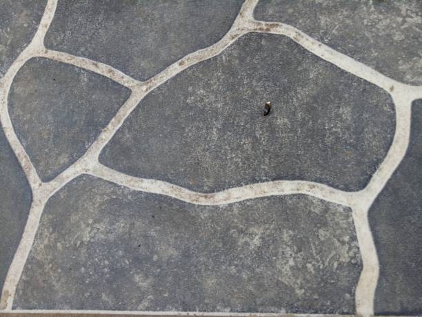 istock ceramic floor with river stone texture in black with white lines 1425142851