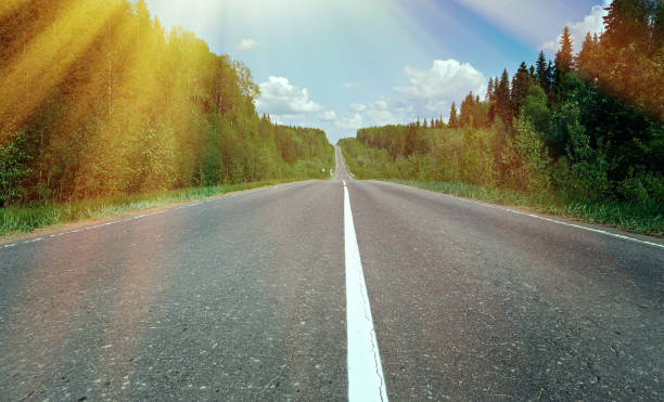 istock road in Russian forest 1425142867