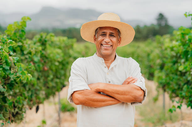 vinhedo, agricultura e agricultor idoso trabalhando na fazenda durante a primavera para monitorar o crescimento. retrato do bem-estar, sustentabilidade e agro idoso em pé no verde, eco e campo no campo. - real people - fotografias e filmes do acervo