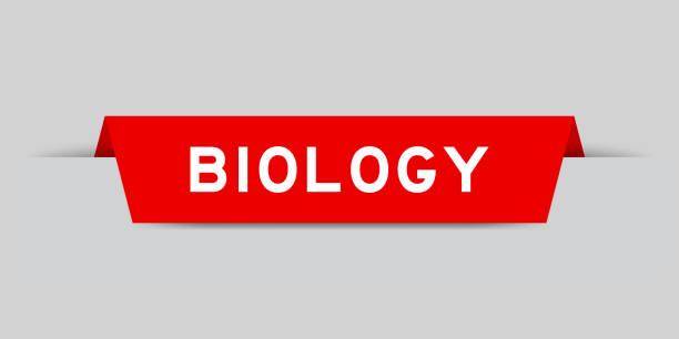 istock Red color inserted label with word biology on gray background 1425145746