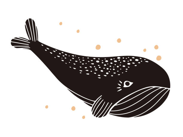 ilustraciones, imágenes clip art, dibujos animados e iconos de stock de linocut linda ballena - cachalote