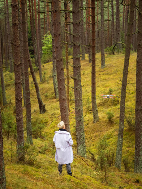 istock one person launching a drone in a deep pine forest between tree trunks in a ravine 1425153302