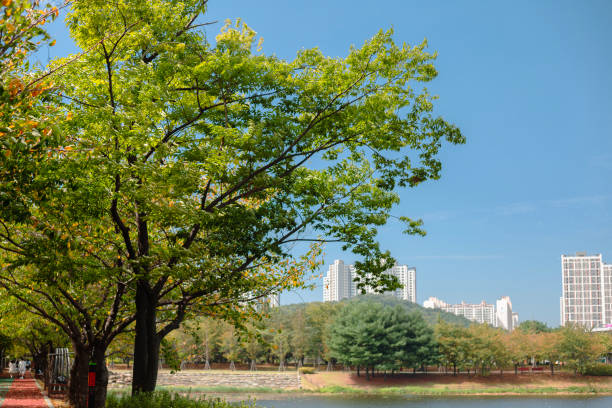 istock Hwarang Recreation Area park forest road in Ansan, Korea 1425153531