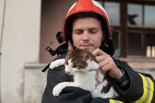 Close-up portrait of heroic fireman in protective suit and red helmet holds saved cat in his arms. Firefighter in fire fighting operation. High quality photo