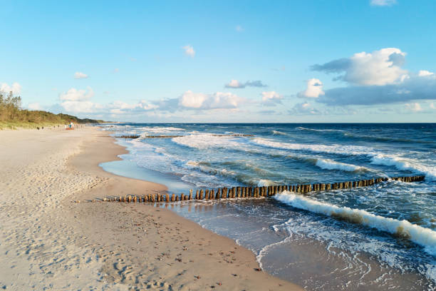 istock Drone view of sea coastline with sand beach 1425159219