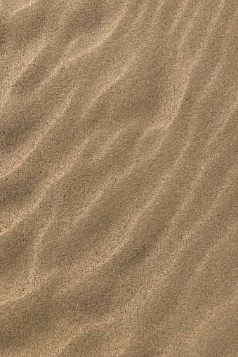 Sand Pattern On A Wind Swept Beach\n\nPlease view my portfolio for other wildlife photos.