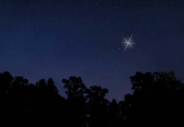 istock Christmas star rising above a dark forest 1425163981