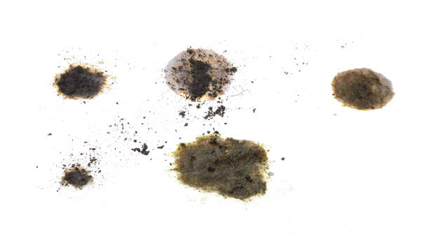 istock Dirt from soil taken on white background 1425166768