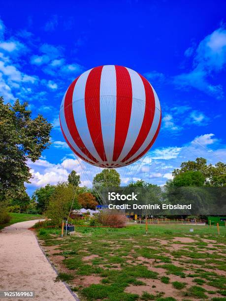 Red And White Striped Grounded Balloon Stock Photo - Download Image Now - Balloon, Color Image, Grass