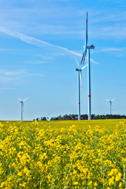istock Panoramic view of wind park, with high wind turbines for generation electricity with copy space. Green energy concept. 1425171353