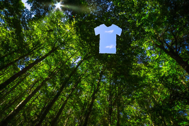 The Canopy of this Forest has Hole in the Shape of a T-Shirt stock photo