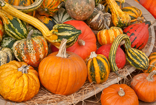 A colorful collection of different pumpkins in a wooden trough.