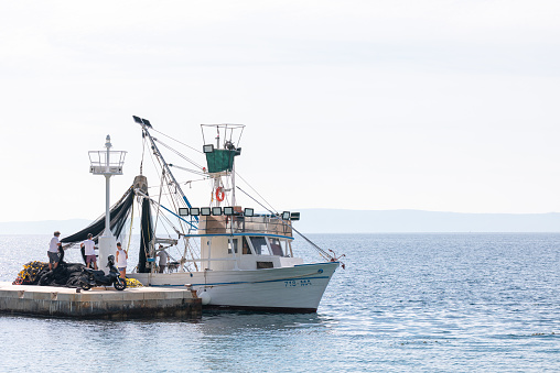 a shrimp cutter on the north sea