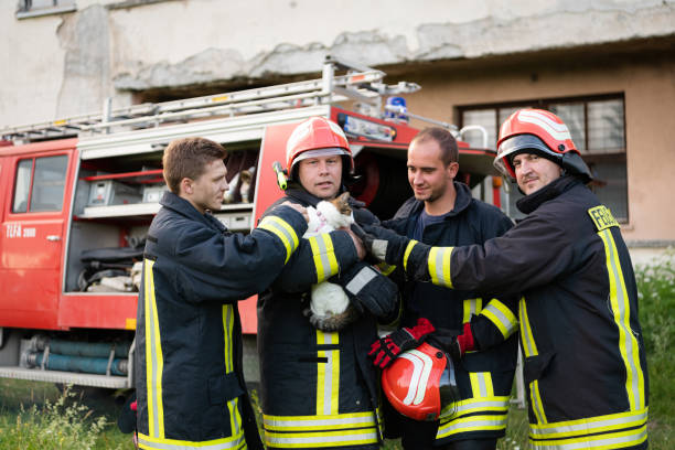 istock firefighters group in a protective suit and red helmet holds saved cat in his arms. Firefighter in fire fighting operation. 1425178590