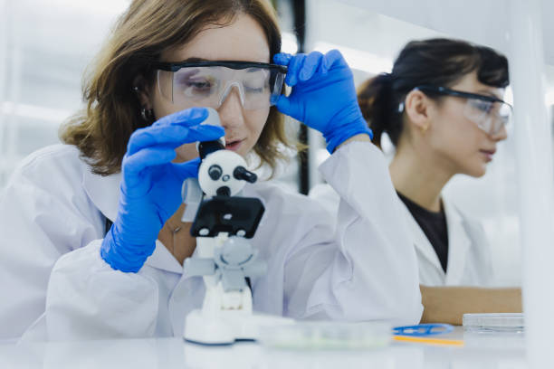 istock science technology chemist developing concept, female researcher, medical scientist or doctor is looking in a microscope in Modern Laboratory 1425180592