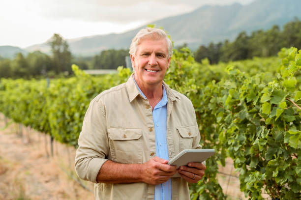 Senior farmer on a vineyard with a digital tablet while working on a sustainable wine farm. Portrait of an agro man in nature doing product trading on a technology in the countryside during spring.