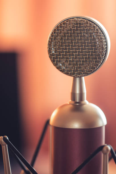 istock Professional microphone for sound recording, macro photography. 1425184176