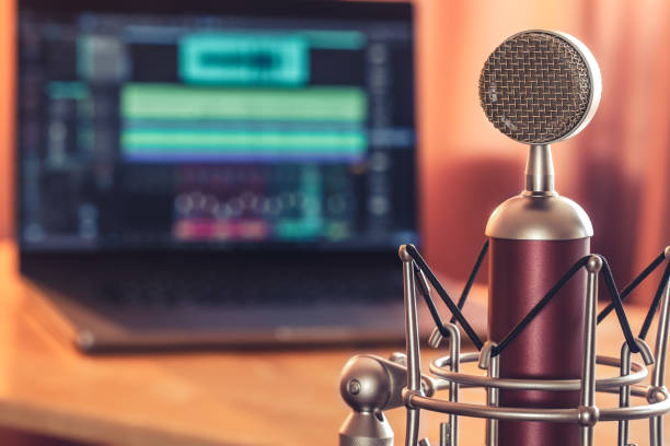 istock Professional microphone on blurred background, sound recording concept. 1425184206