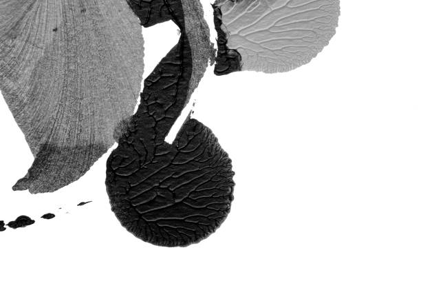 istock black white abstract acrylic painting color texture on white paper background by using rorschach inkblot method 1425184350