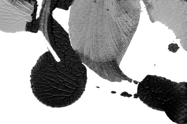 istock black white abstract acrylic painting color texture on white paper background by using rorschach inkblot method 1425184370