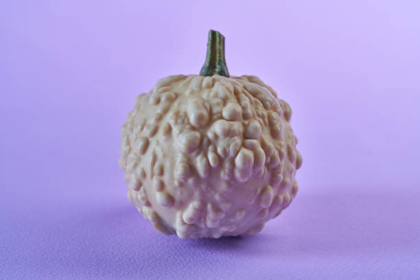 Bizarre  food -  close up photo of weird white pumpkin
