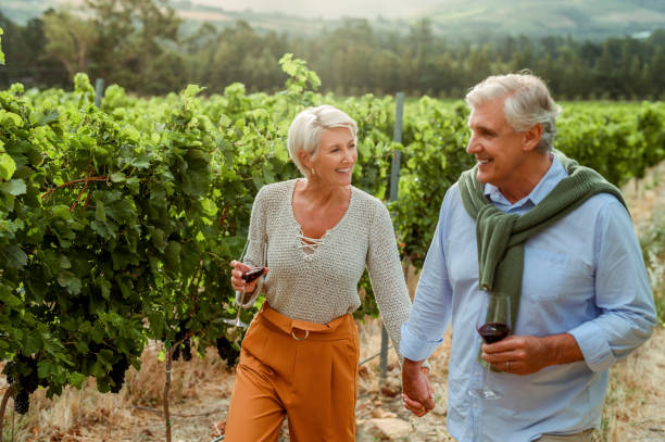 Wine tasting, happy and mature couple walking on nature countryside with alcohol drink glass on environment sustainability vineyard. Smile, bonding man and woman on love holiday on a agriculture farm stock photo