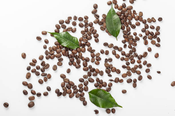 istock Pile coffee beans isolated on white background 1425189552