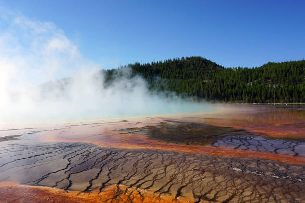 istock Steam above the pond with hot water 1425192128
