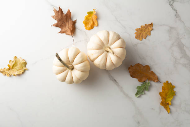istock Two white pumpkins top view Thanksgiving concept 1425192589