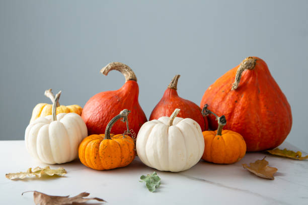 istock Autumn pumpkin still life holiday concept 1425192609