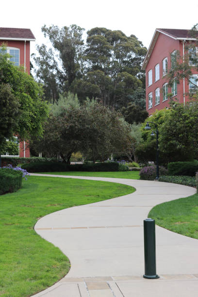 istock Curved path in the village 1425195324