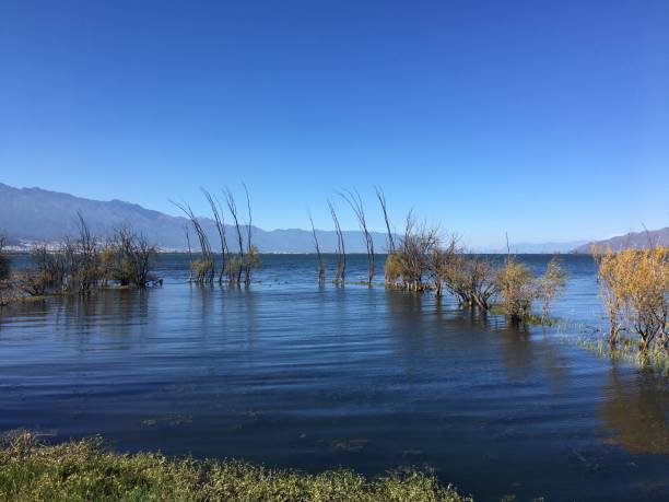 istock Erhai blue sky distant mountain trees calm 1425197856