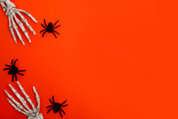 istock Halloween frame with skeleton hands and spiders, red background. Halloween concept. Flat lay, top view, copy space 1425199506