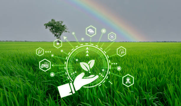 Smart agriculture with modern technology concept. Landscape of green rice farm field, rainbow, and icon of smart farming concept. Sustainable agriculture. Precision agriculture. Climate monitoring. stock photo