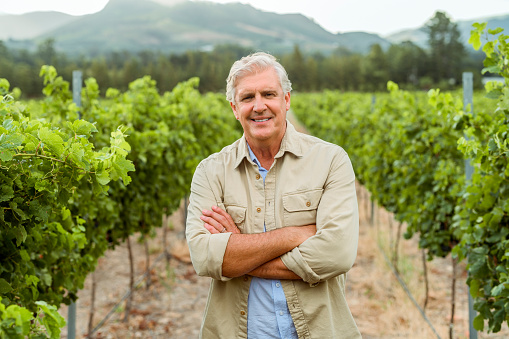 Wine farmer on vineyard field in nature, happy about sustainable lifestyle on agriculture farm and smile for sustainability in alcohol industry. Happy worker with arms crossed at job in ecology