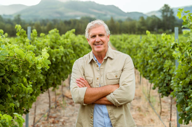 Wine farmer on vineyard field in nature, happy about sustainable lifestyle on agriculture farm and smile for sustainability in alcohol industry. Happy agricultural worker with arms crossed at job stock photo