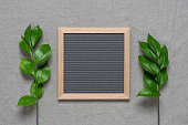 istock Blank letter board with green leaves, gray textile background. Top view, flat lay. 1425211628