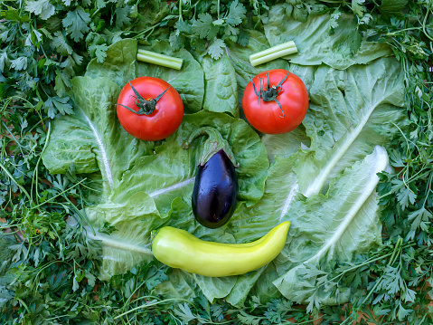 Funny face made of raw vegetables and fresh herbs - tomatoes, eggplant, bell pepper, lettuce, parsley, cilantro