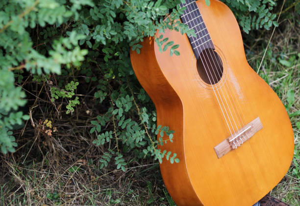 istock Guitar leaning against a bush in a garden 1425222074