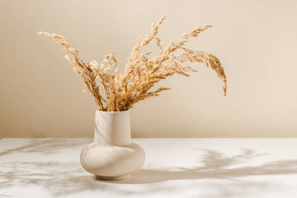 istock Beige ceramic vase with dry pampas grass and shadows on the table 1425222797