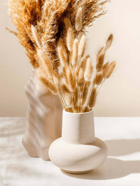 istock Set of ceramic vase with dried lagurus grass with aesthetic shadows 1425223334