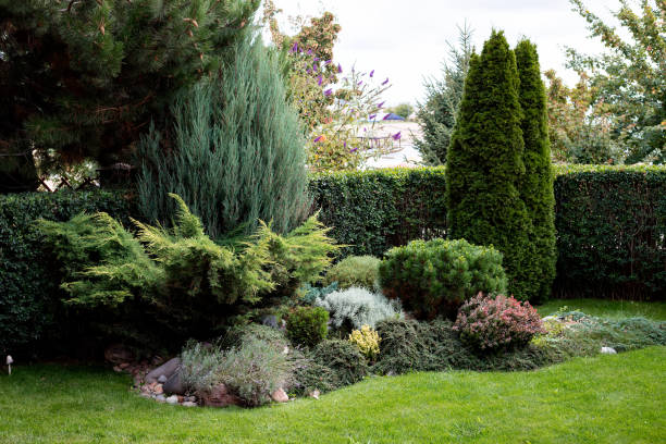 istock Summer flower garden 1425225270