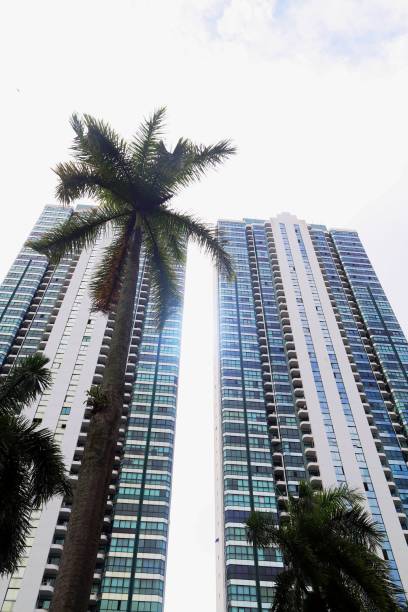 istock Exterior of tall building 1425227866