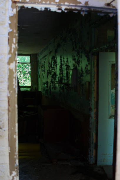istock Peeking through door of abandoned insane asylum 1425228336