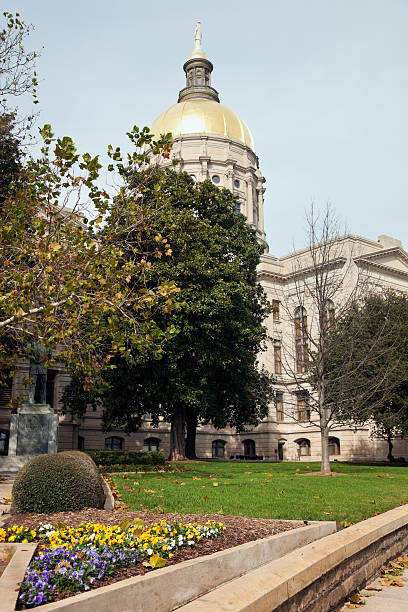 istock Atlanta, Georgia - State Capitol Building 142523029